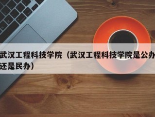 武汉工程科技学院（武汉工程科技学院是公办还是民办）
