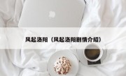 风起洛阳（风起洛阳剧情介绍）