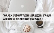 飞机闯入华盛顿禁飞区被拦截后坠毁（飞机闯入华盛顿禁飞区被拦截后坠毁怎么办）
