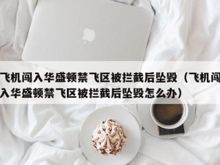 飞机闯入华盛顿禁飞区被拦截后坠毁（飞机闯入华盛顿禁飞区被拦截后坠毁怎么办）