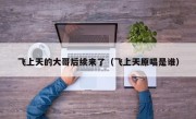 飞上天的大哥后续来了（飞上天原唱是谁）