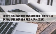泼水节连狗路过都得淋两桶水再走（泼水节连狗路过都得淋两桶水再走人狗大混战）