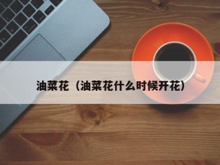 油菜花（油菜花什么时候开花）