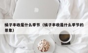 橘子丰收是什么季节（橘子丰收是什么季节的景象）
