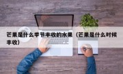 芒果是什么季节丰收的水果（芒果是什么时候丰收）