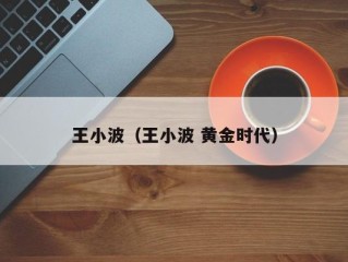 王小波（王小波 黄金时代）