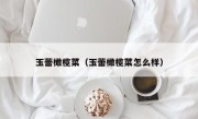 玉蕾橄榄菜（玉蕾橄榄菜怎么样）
