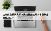 沈阳航空航天大学（沈阳航空航天大学录取分数线2023）