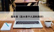 左小青（左小青个人资料简介）