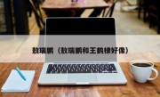 敖瑞鹏（敖瑞鹏和王鹤棣好像）