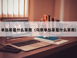 单丛茶是什么茶类（乌崇单丛茶是什么茶类）