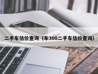 二手车估价查询（车300二手车估价查询）