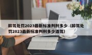 醉驾处罚2023最新标准判刑多少（醉驾处罚2023最新标准判刑多少酒驾）