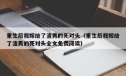重生后我嫁给了渣男的死对头（重生后我嫁给了渣男的死对头全文免费阅读）