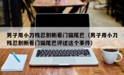男子用小刀残忍割断看门猫尾巴（男子用小刀残忍割断看门猫尾巴评述这个事件）