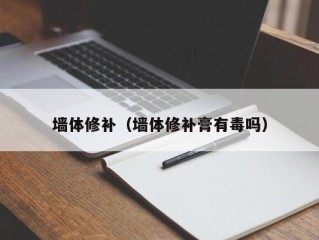 墙体修补（墙体修补膏有毒吗）