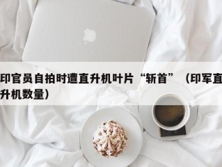 印官员自拍时遭直升机叶片“斩首”（印军直升机数量）
