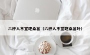 六种人不宜吃桑葚（六种人不宜吃桑葚叶）