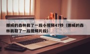 挪威的森林截了一段小视频47秒（挪威的森林截取了一段视频片段）