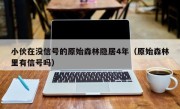 小伙在没信号的原始森林隐居4年（原始森林里有信号吗）