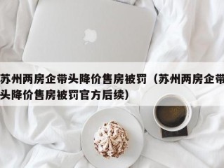 苏州两房企带头降价售房被罚（苏州两房企带头降价售房被罚官方后续）