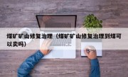 煤矿矿山修复治理（煤矿矿山修复治理到煤可以卖吗）