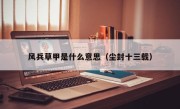 风兵草甲是什么意思（尘封十三载）