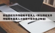 微信回应文件传输助手是真人（微信回应文件传输助手是真人小秘密只有你自己知道）