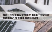 海南一小学生骑车被撞身亡（海南一小学生骑车被撞身亡,警方肇事司机涉嫌逃逸）