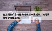 官方回应广东汕尾海滩现百米生蚝带（汕尾生蚝哪个村庄最好）